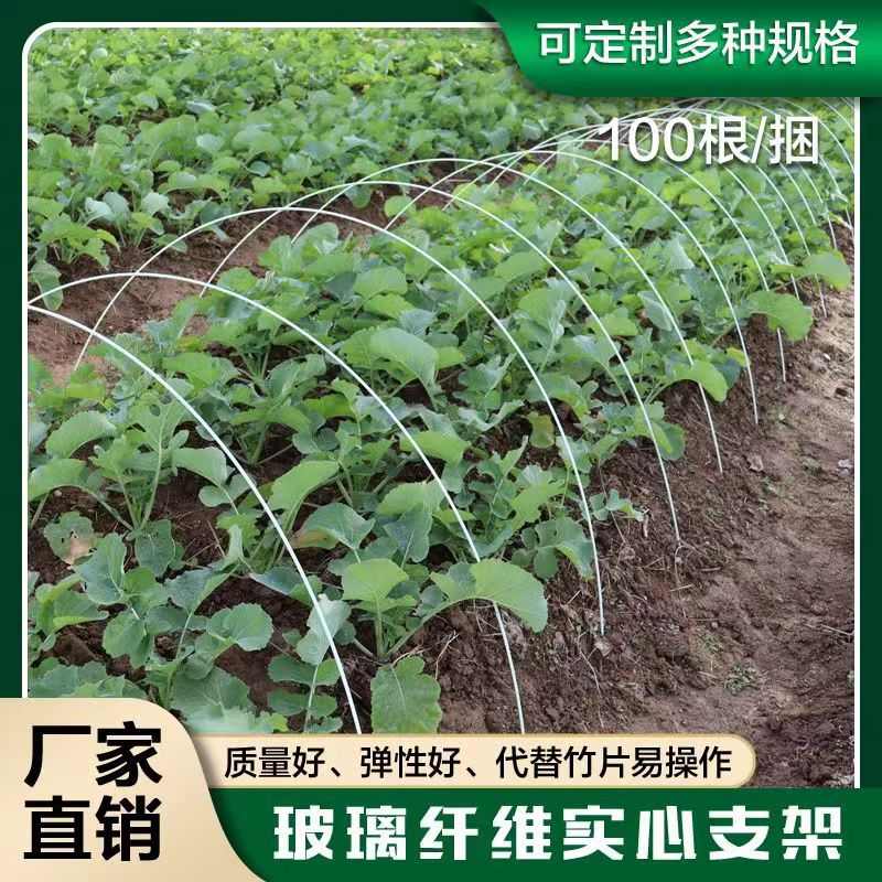 50根黄瓜爬藤架条豇豆角搭架杆子拱棚支架西红柿支撑杆玻璃纤维杆