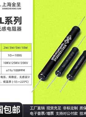 RI80黑色无感高压绝缘耐压检测校准标定电阻2W5W10W1M10M100M1G1%