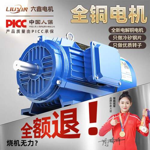 YE4三相异步电动机380v卧式全铜低速电机900转交流马达机械大扭矩