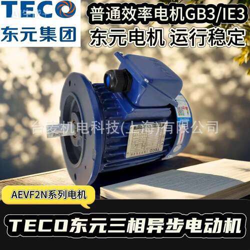 TEC0东元电机AEVF2N立式电机AEEF2N卧式电机GB3/IE3-3级能效电机