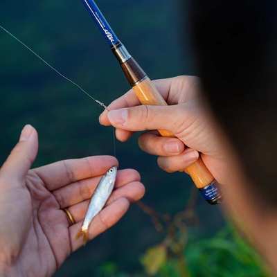 PTS鹈鹕钓溪流竿短节小物钓套装超轻迷你微物儿童钓鱼杆鳑鲏手竿