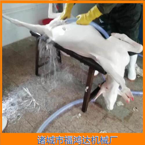 新款整羊打毛机屠宰生羊去毛设备连续式羊脱毛机