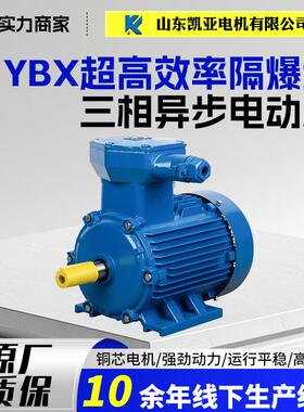 YBX4粉尘防爆电机380v电动机三项4/7.5/11w三相异步电动机