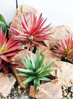 仿真红叶龙舌兰剑兰热带雨林沙漠绿植物剑麻装饰橱窗造景落地摆件