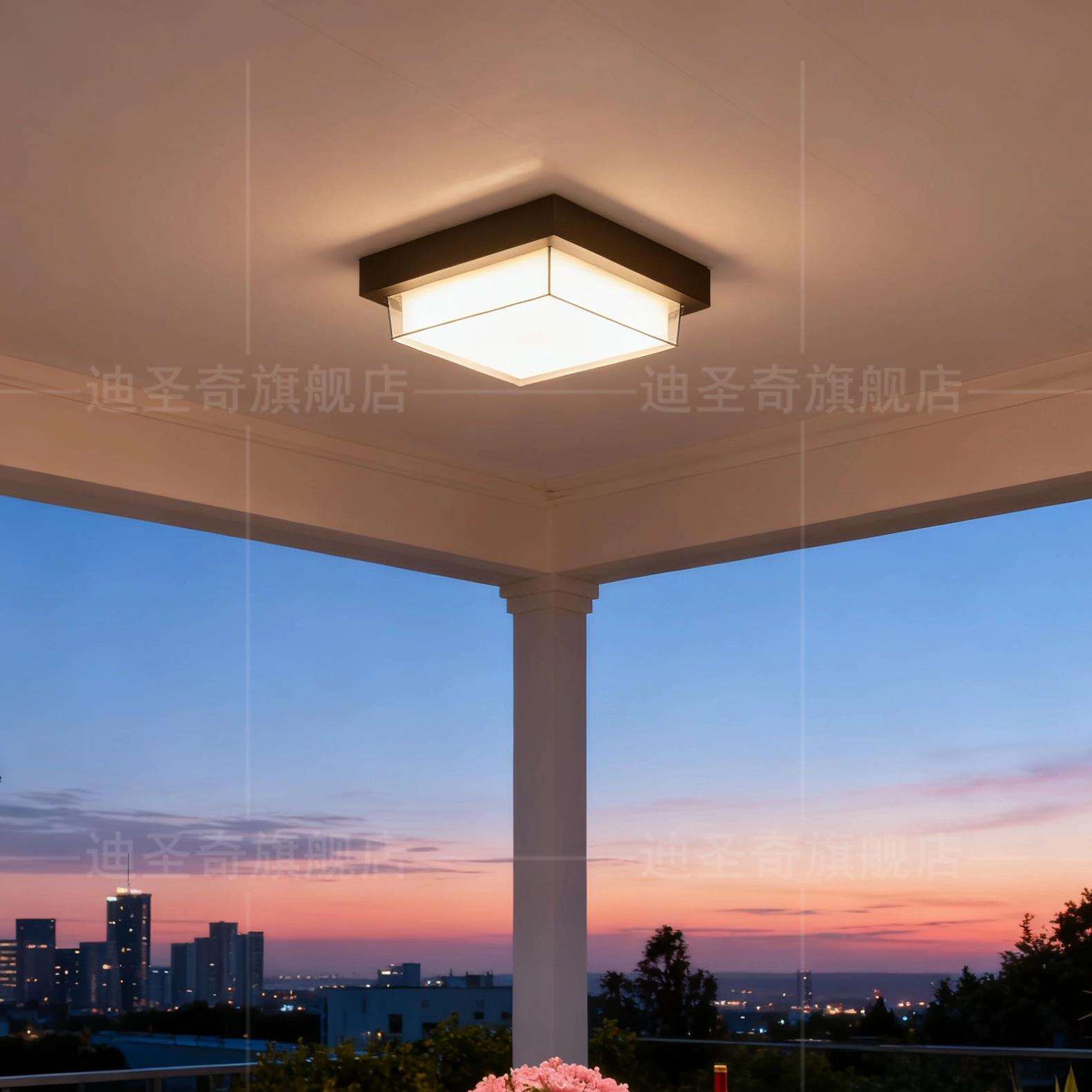 户外吸灯防台水顶防虫阳XD9院走廊过道室外入户庭大门口房檐顶灯