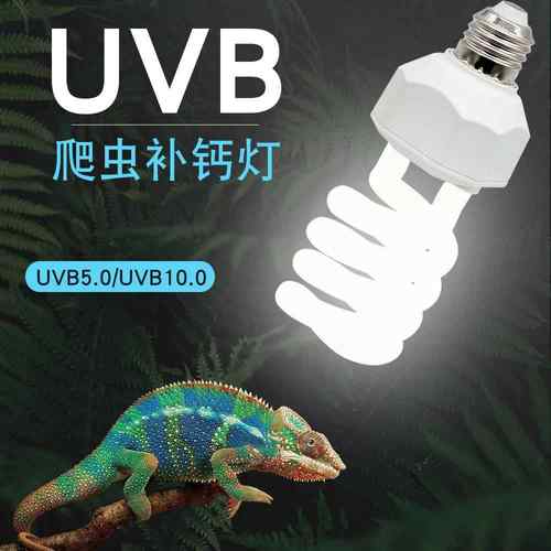 爬宠uvb灯鬃狮蜥.补钙灯爬虫饲养箱节能乌龟.紫外线龟灯晒背