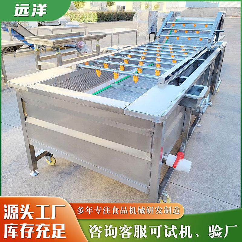 全自动气泡清洗机海带清洗机青刀豆清洗设备喷淋式芸豆清洗机