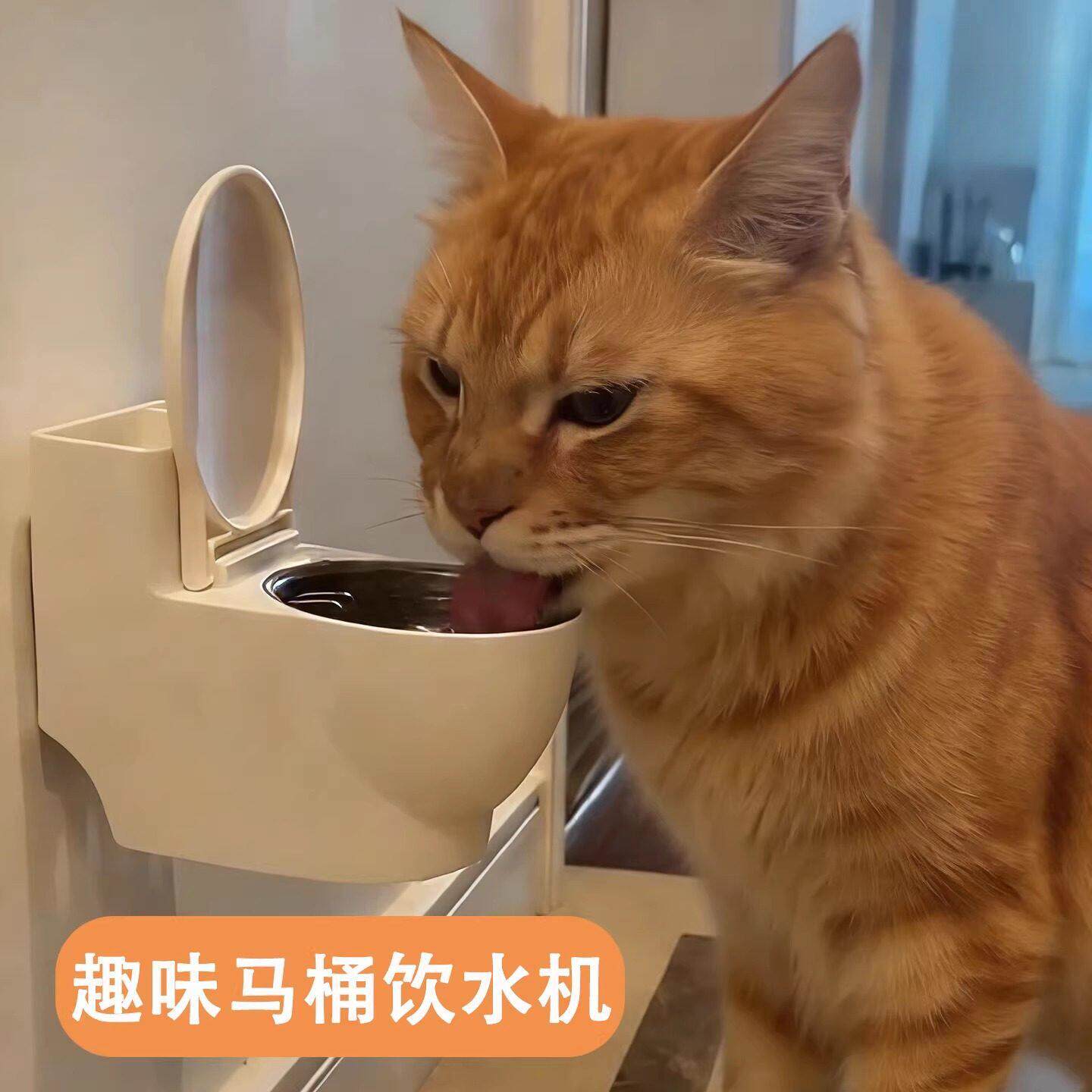 猫咪马桶饮水机宠物喝水饮水器水碗小猫骗水神器猫碗悬挂防打翻
