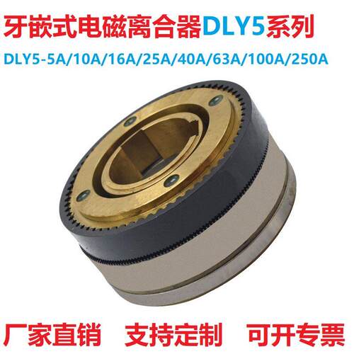 牙嵌式多片电磁离合器湿式24V大扭矩DLY5-5A10A16A40A63A100A400A