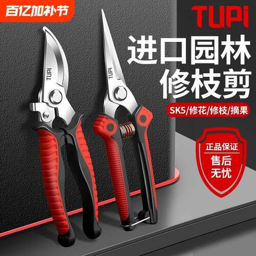 修剪树枝专用剪刀修枝剪刀SK5钢园林园艺果树剪剪子剪枝工具剪刀