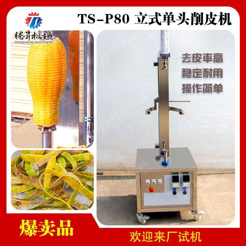 食品厂设备电动全不锈钢瓜果削皮机木瓜哈蜜瓜去皮机单头削皮机械