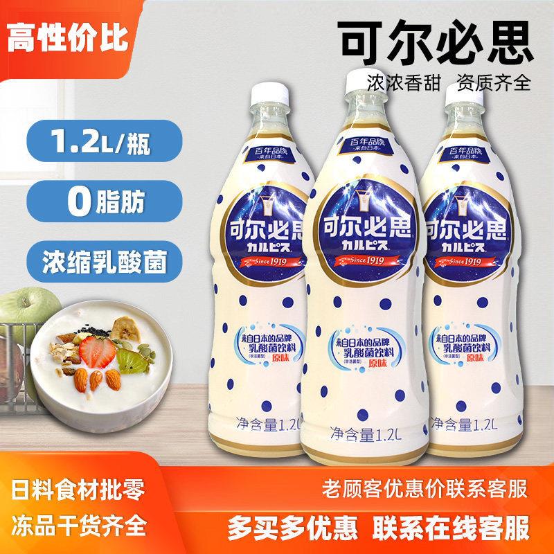 CALPIS可尔必思发酵型酸奶原味牛奶商用浓缩液日式乳酸菌饮料1.2L