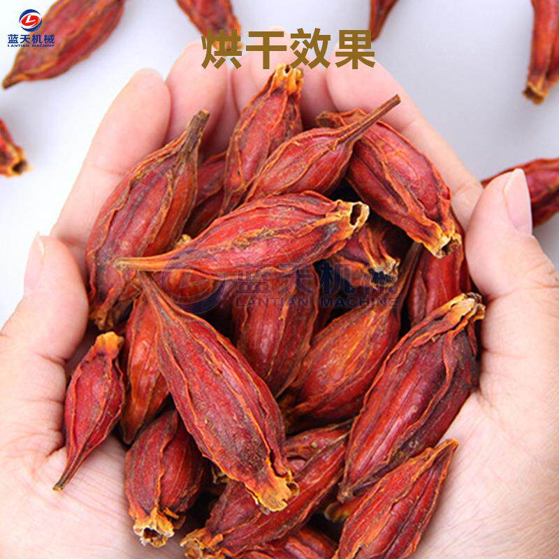 黄栀子烘空干机 大型气能山备LT-ZZHGJ栀子烘设 烘栀子果白干蟾中