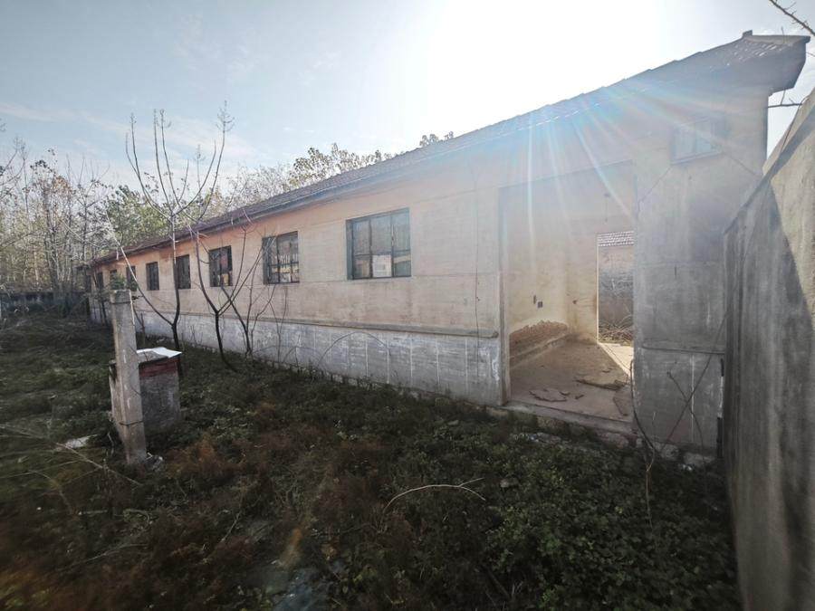 1月25日潍坊纺织公司所属的财产网络拍卖公告