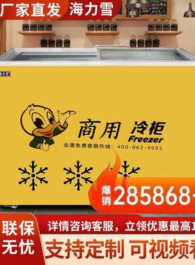 双温冰柜海力雪商用雪糕柜冰柜冷藏冷冻展示两用卧式展示柜