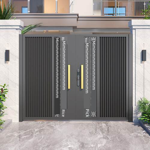 铝合金庭院门别墅花园入口门户外铝艺术高端小庭院门中式双门