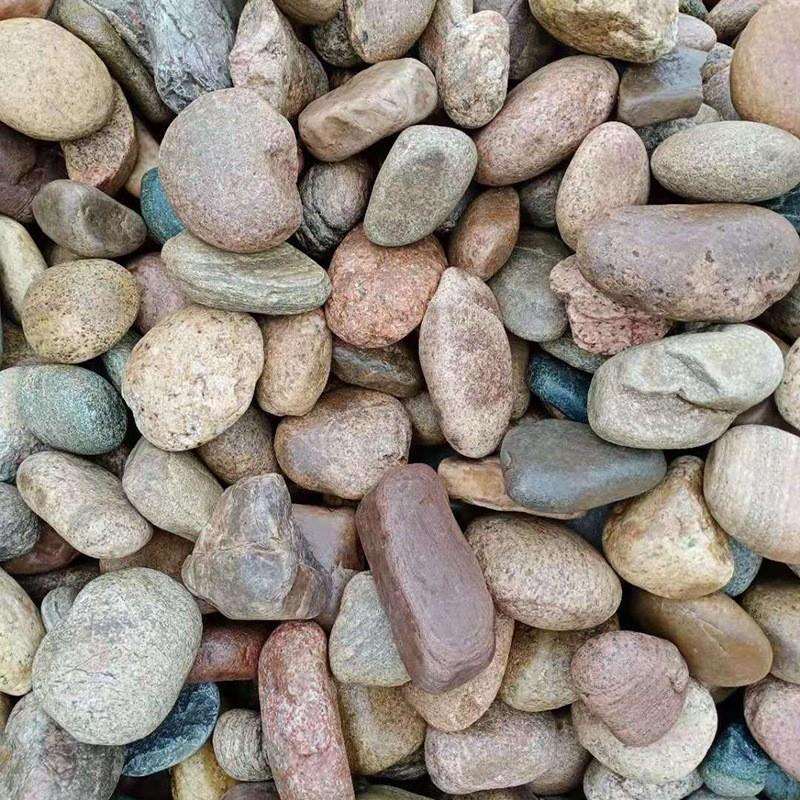 厂家直销供应 鹅卵石 滤料承托层 天然砾石垫层 量大从优