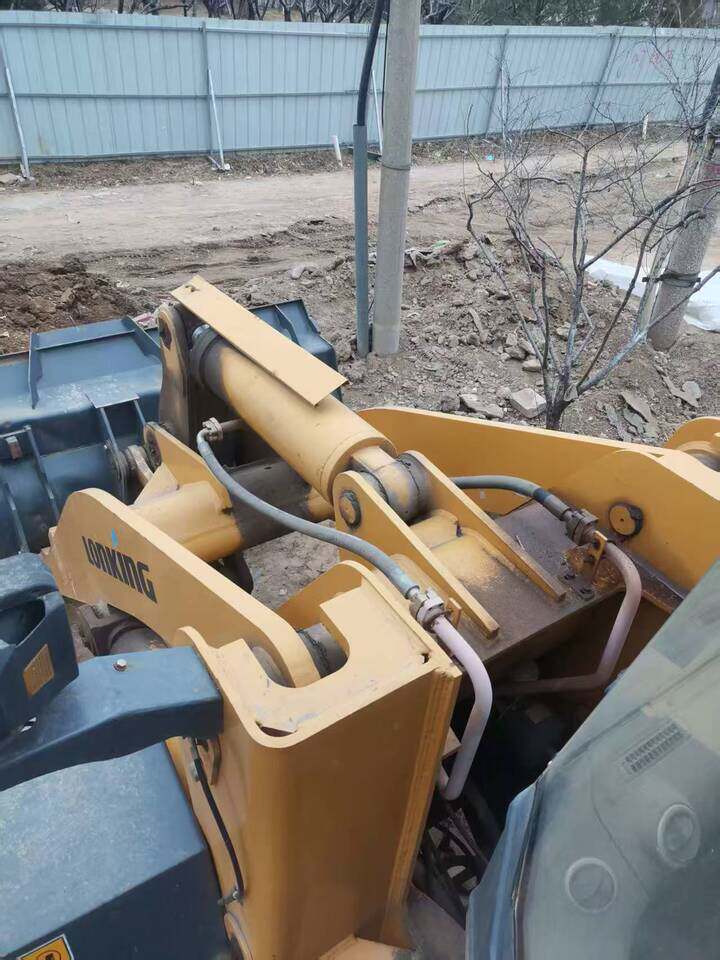 4月9日石家庄某公司处置龙工50装载机（先导操作）网络拍卖公告