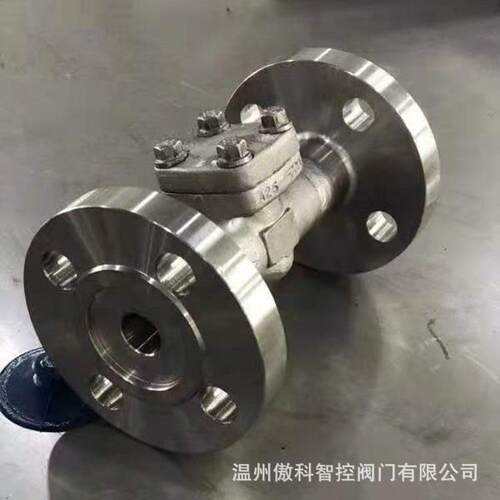 H44Y-16C 锻钢法兰止回阀 旋启式A105止回阀 自密封锻钢止回阀