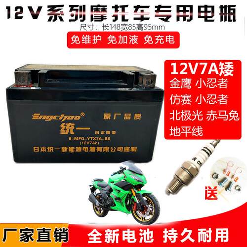 适用金鹰彷赛小忍者北极光赤兔马机车干电瓶免维护地平线电池