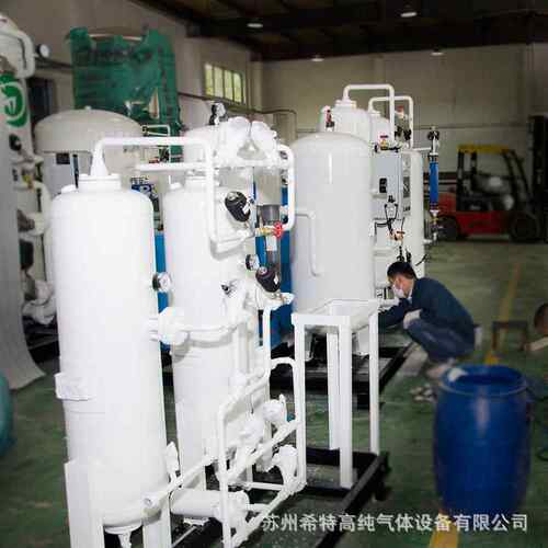 食品包装PSA制变压吸附氮机高纯99.9食品包装气9场氮设备食现品制