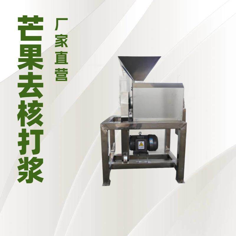 不锈钢水果去核打浆机芒果红枣打浆机大型果蔬打泥机
