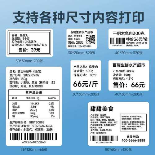 德佟DP300S大尺寸仓储物料标签打印机手持便携式标识食品标签