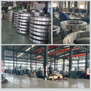 挖掘机轴承转承盘轮马达械滚齿柱回转支交叉回机转81020972厂家