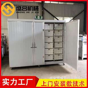 大型箱式生豆芽机器盛合全自动豆芽设备双开门分开控温