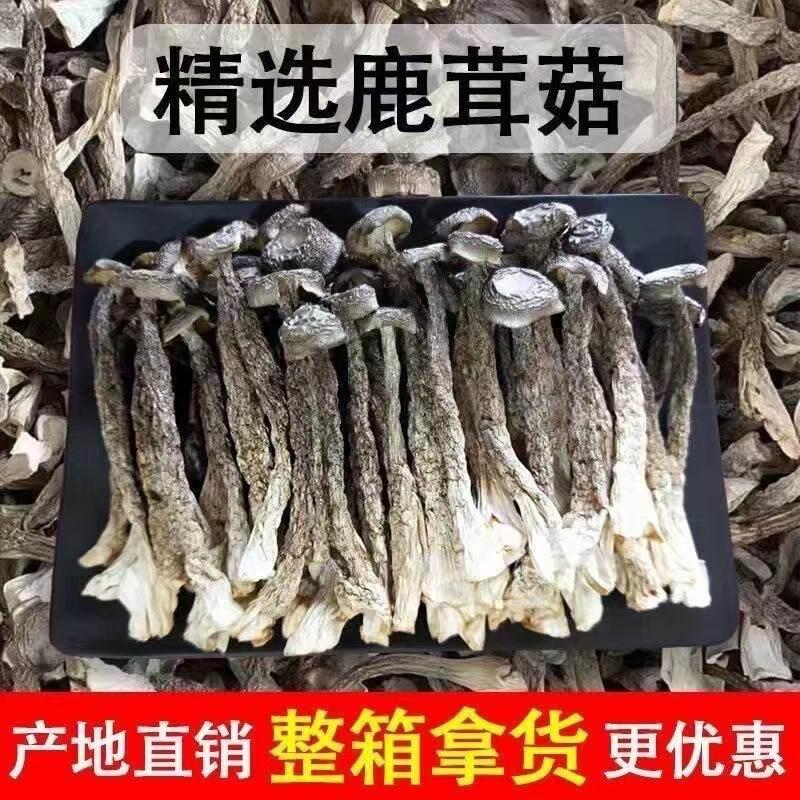 鲜香鹿菇煲干货鹿茸菇干货新鲜汤食材蘑菇香菇非特茸一级野生古田