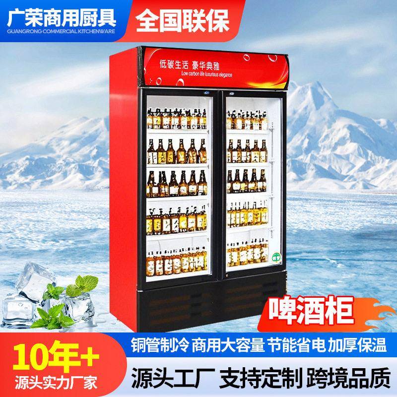 饮料啤酒冰柜商用冷冻冰箱大容量保鲜柜立式双门酒水冷藏展示柜
