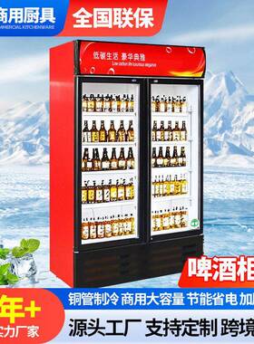 饮料啤酒冰柜商用冷冻冰箱大容量保鲜柜立式双门酒水冷藏展示柜