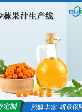 工厂直供大小型果汁饮料水果酱沙棘果汁全自动生产线
