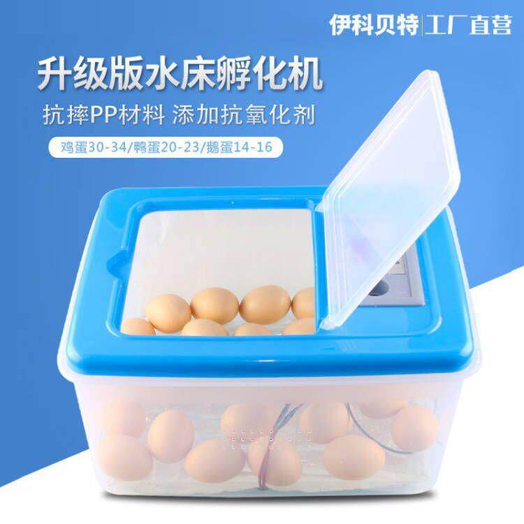 伊科贝特水床孵化机家用小型多功能鸡鸭鹅鸽子孵化器20枚孵化箱