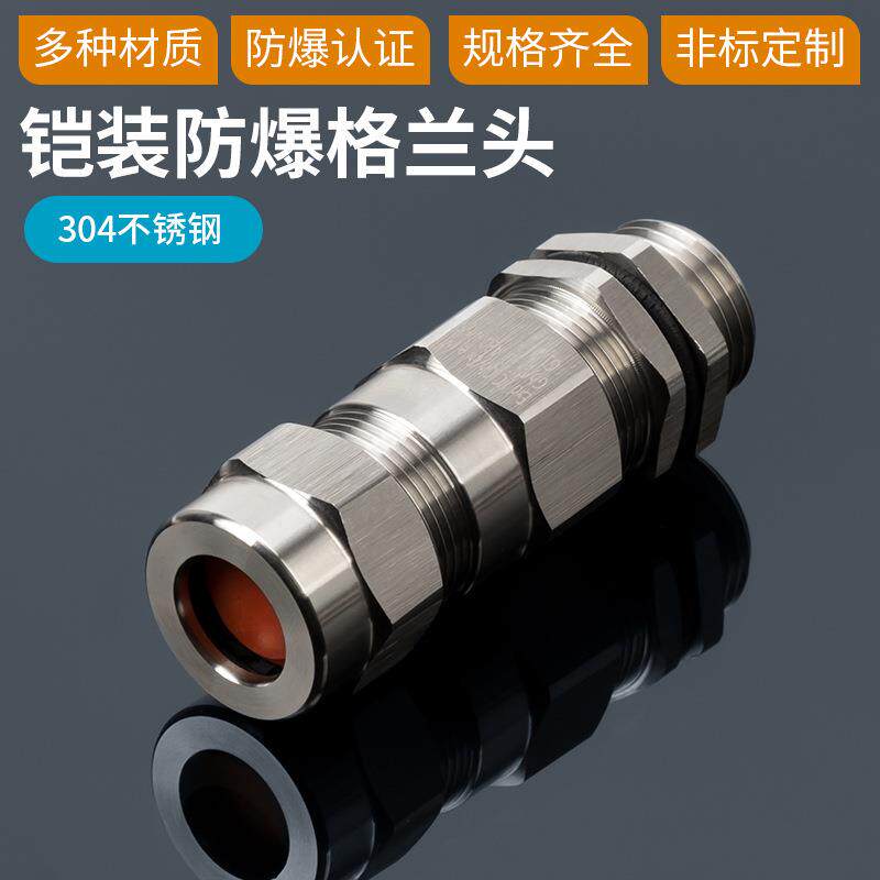 04不锈钢防爆电缆夹紧密封接头铠装双密封格兰头内外丝填料函