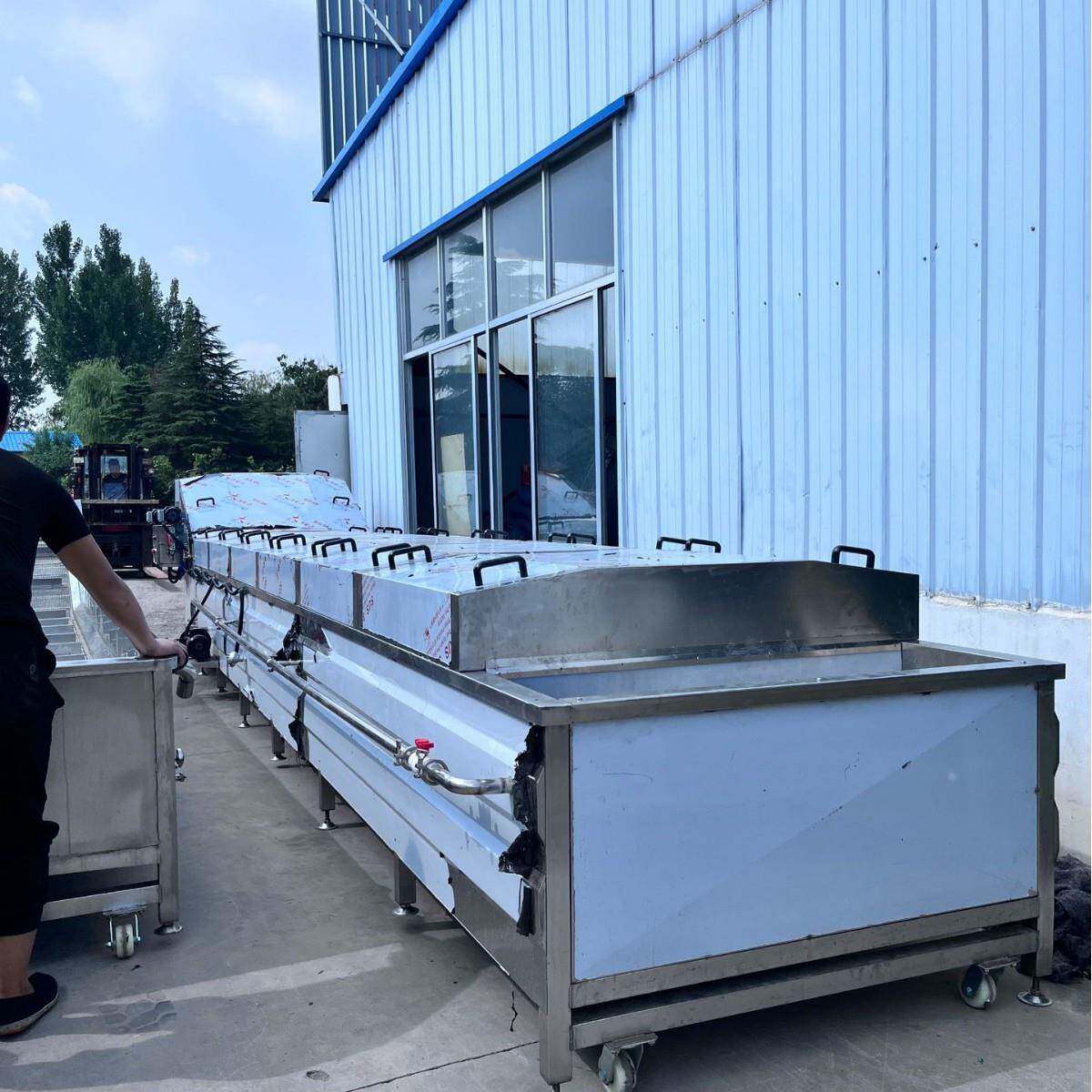 袋装果汁巴氏杀菌机西剥红柿清洗漂茄烫去皮机商用番皮机