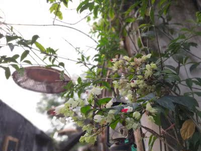 懂行的来说下人杰RJ180-T电风扇怎么样，使用全过程大曝光，不看后悔