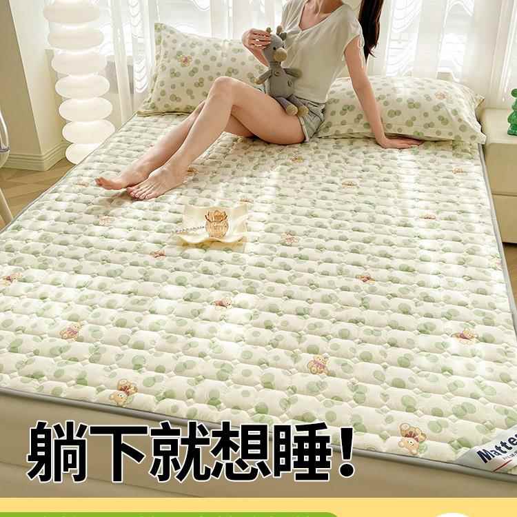 四季通用床垫垫褥褥薄款床褥垫防滑纯棉垫被保席梦思子F967SS5M护