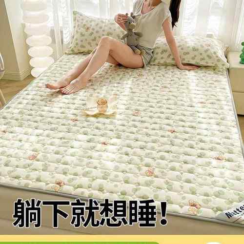 四季通用床垫垫褥褥薄款床褥垫防滑纯棉垫被保席梦思子F967SS5M护