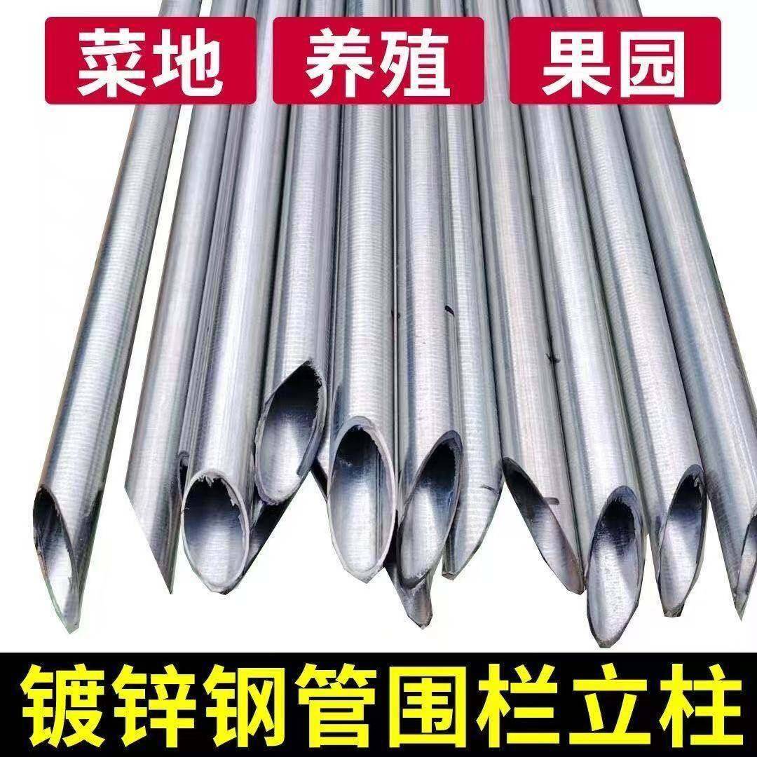 热镀锌光管加厚加硬尖头果园立柱室外铁丝网围栏立柱户外防锈栏杆