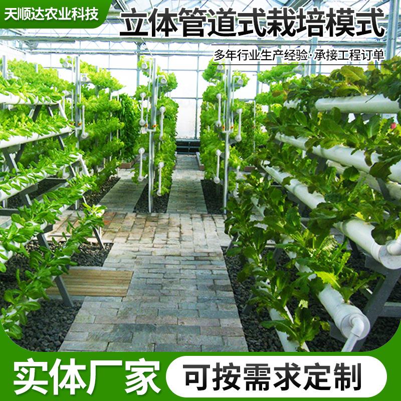代化立体管道水培模式生菜蔬菜垂生长系直统管道式无土现栽培