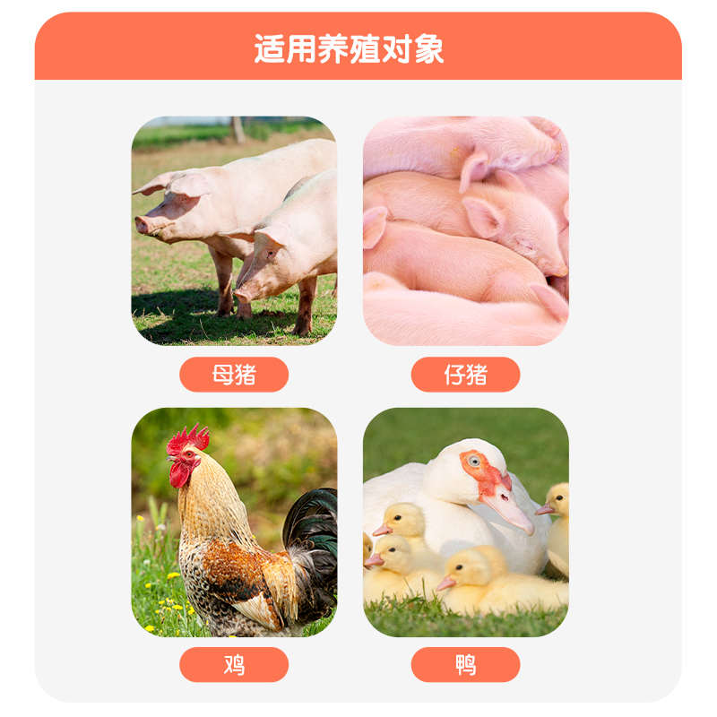 1000g养殖细胞壁可酵母多糖动物福邦添加剂利饲料霉菌康畜禽吸附