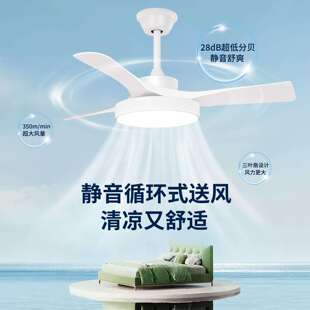 D色静音护眼新中式 眼护厅客卧室 FSD 中古风吊扇胡灯风扇灯桃木QS