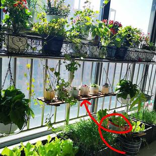 花花盆置架盗窗物架一字隔 阳台护栏花盆挂架gj1栏杆架窗户悬挂式