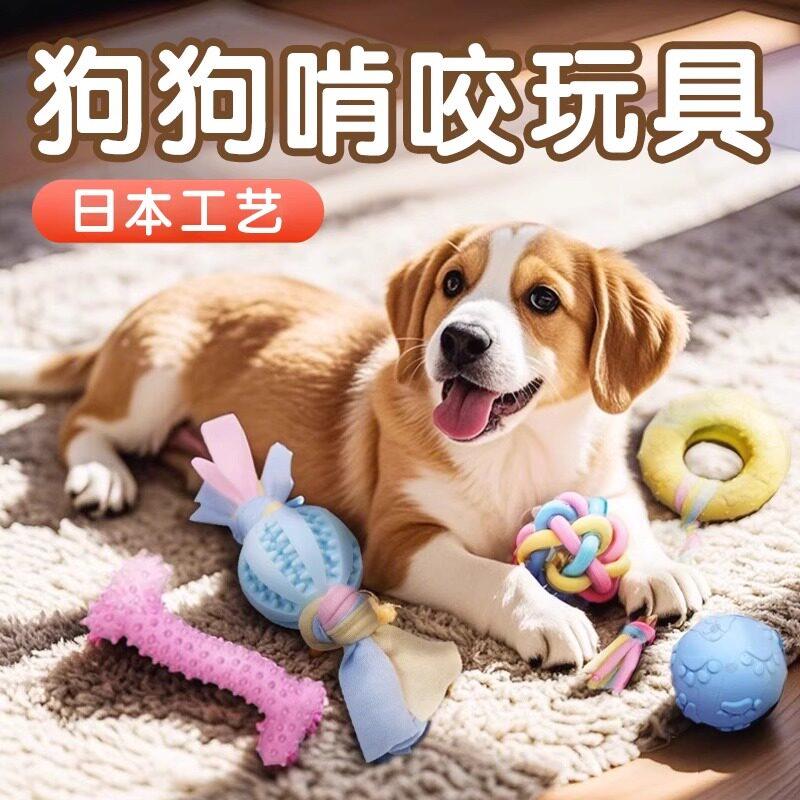 狗狗磨牙玩具幼犬橡胶磨牙棒狗耐咬解闷宠物消耗体力益智用品