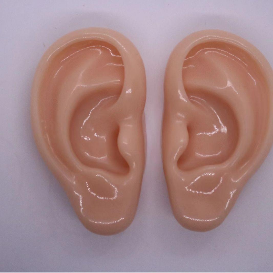 假耳朵 打耳洞模型 硅胶耳朵模型仿真耳朵模型