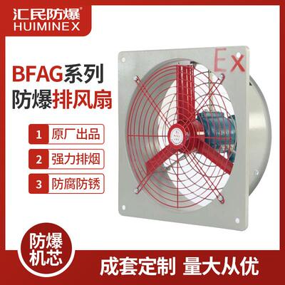 防爆排风扇BFAG防爆换气扇220V通风轴流风机IIB级防爆轴流风机