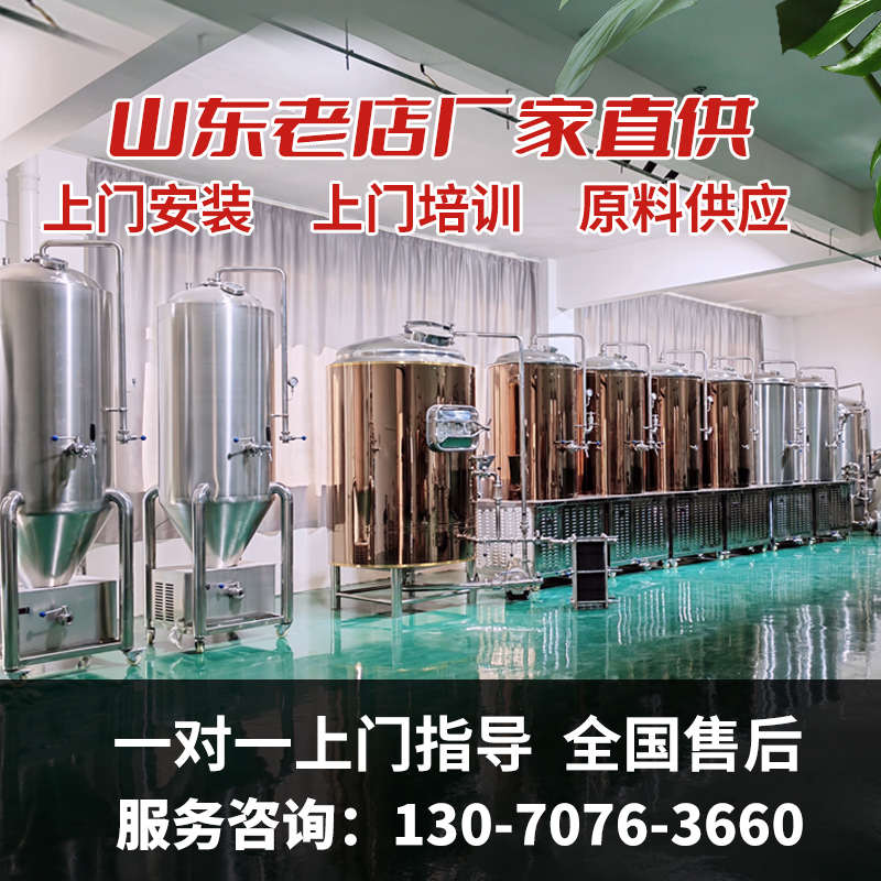 精酿啤酒设备一体机啤酒机自酿啤酒设备鲜啤发酵罐糖化罐酿酒设备