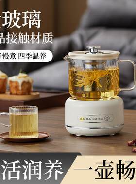 花茶壶养生壶办公室小型家用多功能全玻璃烧水迷你型1-2人煮茶壶
