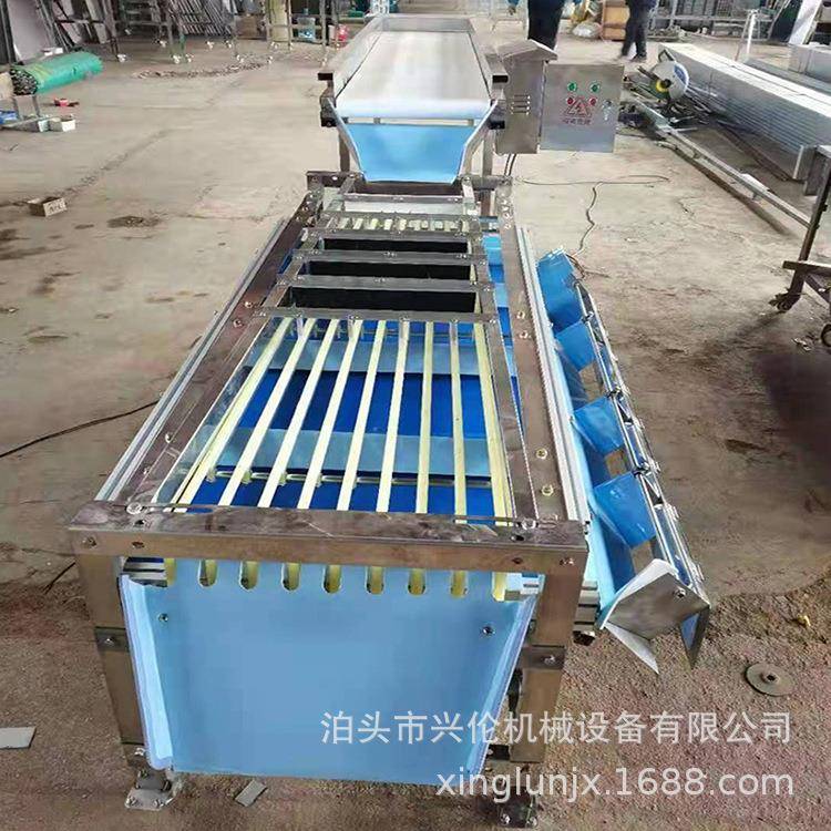微薯桂圆梅柠檬分级机青柠选果机家用小型水果杏分型选机